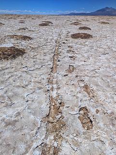 Salar Coipasa
