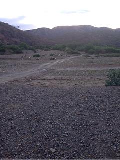 San Miguel-Quiroga