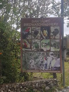 San Tadeo Observação de Aves