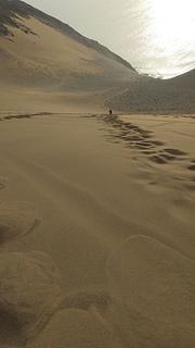 Sandboarding Dune by the Ocean