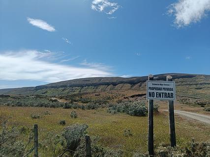 Scenery bird road