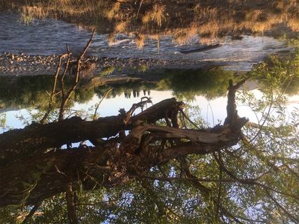 Scorpion camp by the river