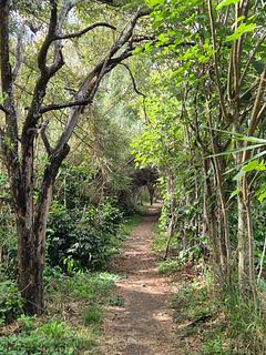 Sendero Ecologico