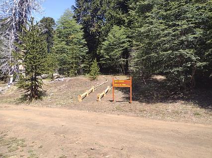 Sendero Huella Del Puma