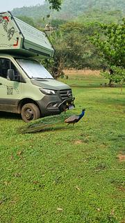 Camping - Serrano Ecopark (opening)