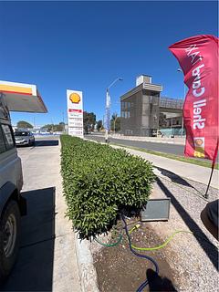 Shell