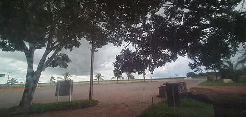 sombra do Ficus