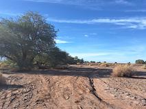 South of ANDES NOMADS DESERT CAMP