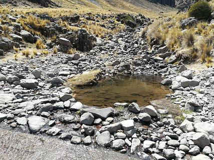 Stream
