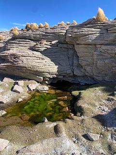Stream from the rocks