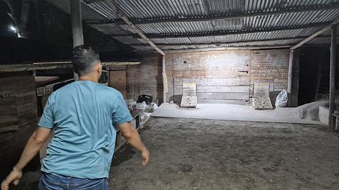Tejo courts