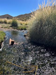 Thermas River