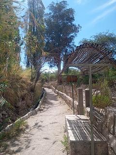 Toconao Gardens