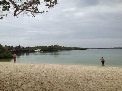 Tortuga Bay