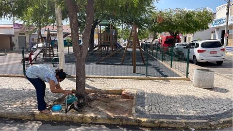 Toy Park Tap