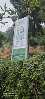 Trilha do Cerro Caracol