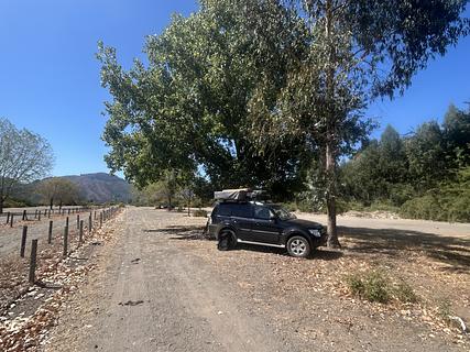 Uma pista de corrida de cães abandonada