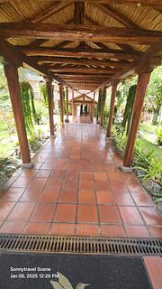 Uzhupud Garden