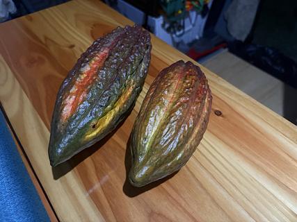 Vendedor de Cacau & Frutas