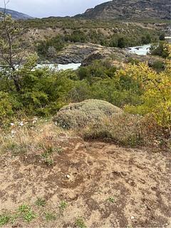 Viewpoint. Carr. Austral