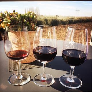 Vina del Cerno