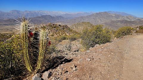 Vista para os Andes