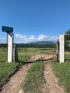 Vista privada para o lago