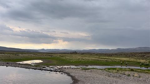 Wet Green Meadows