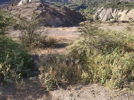 Wild Camp Plateau