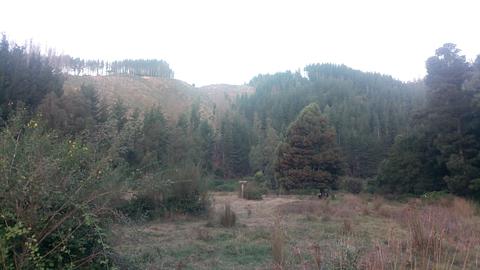 Wild Camping em Bellavista