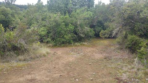 Wild Camping perto de Vilches