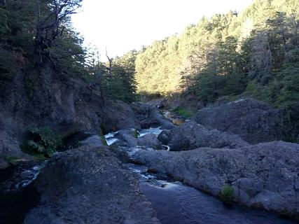 Wildcamp