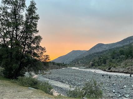 Wildspot perto do rio Colorado