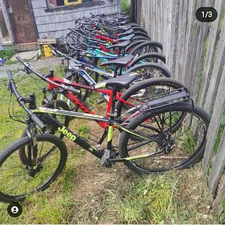 WYL BikerTaller