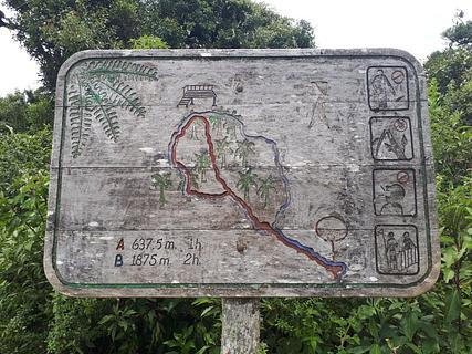 Yunga Forest
