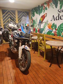 Zamia Hostel