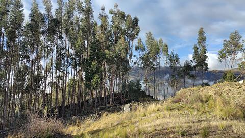 Zona Arqueológica de Tacaj