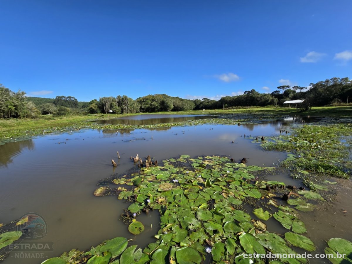 Camping Mini Pantanal