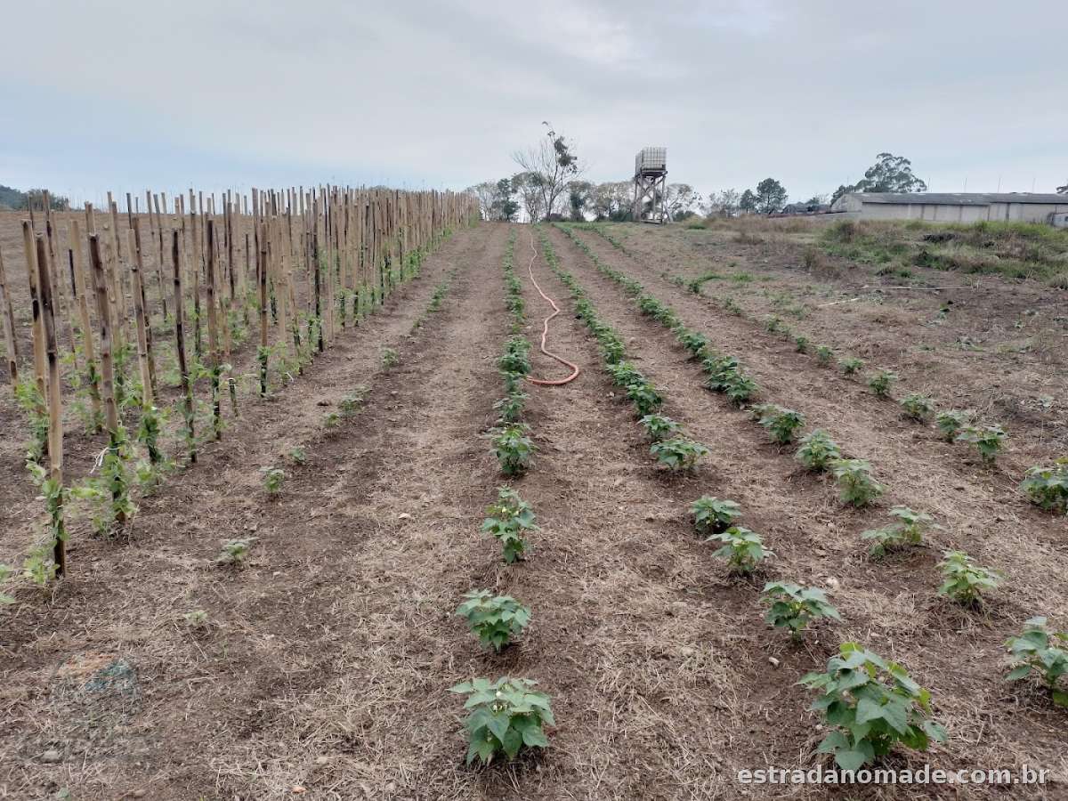 Aoyama Agrocenter – Nazaré Paulista