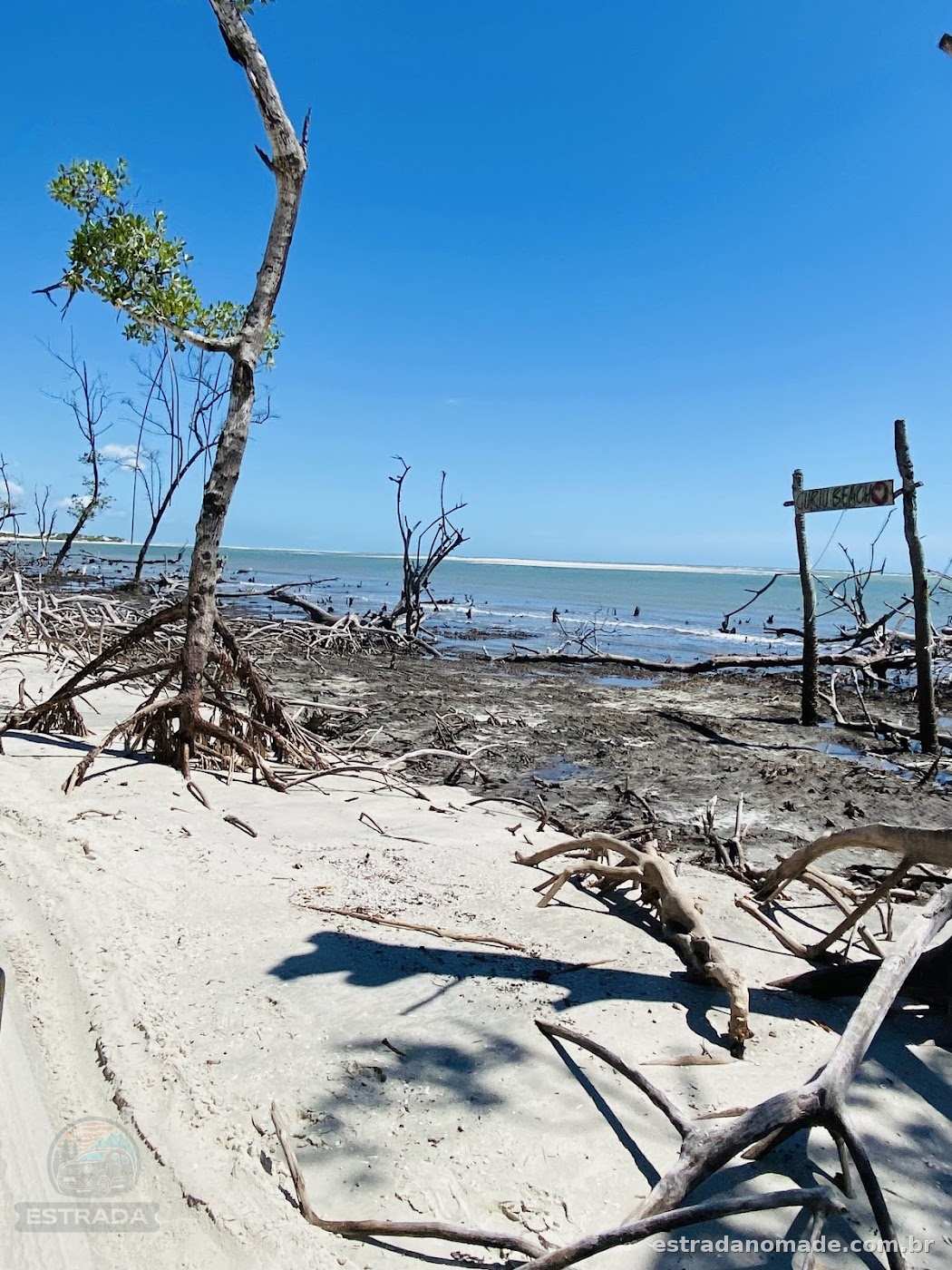 Acampamento selvagem perto de Guriú