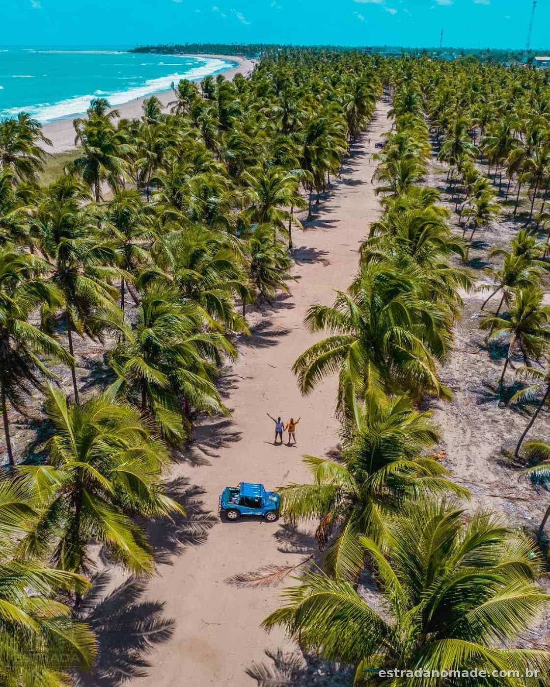 Coqueiral da Praia de Maracaípe