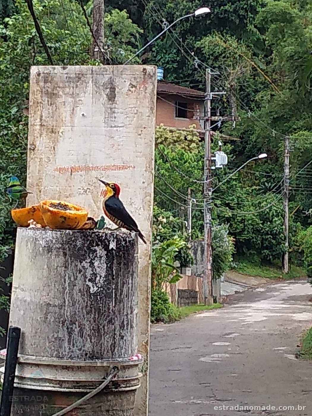 Estacionamento do Cotia