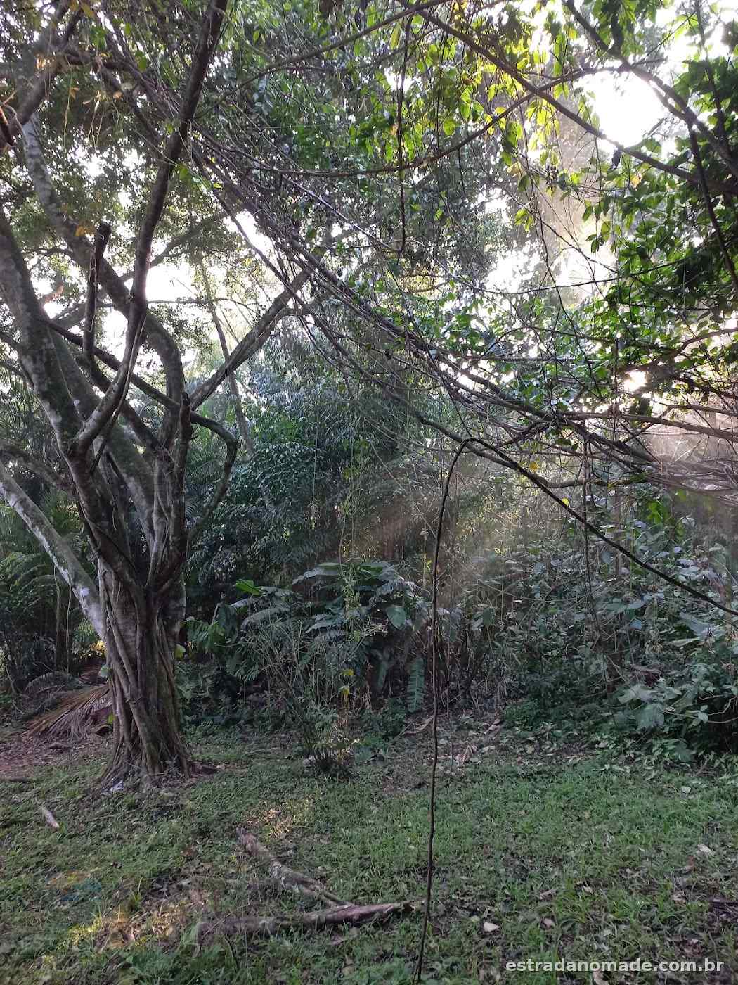 Nascente Natural - Bica Guaiúba