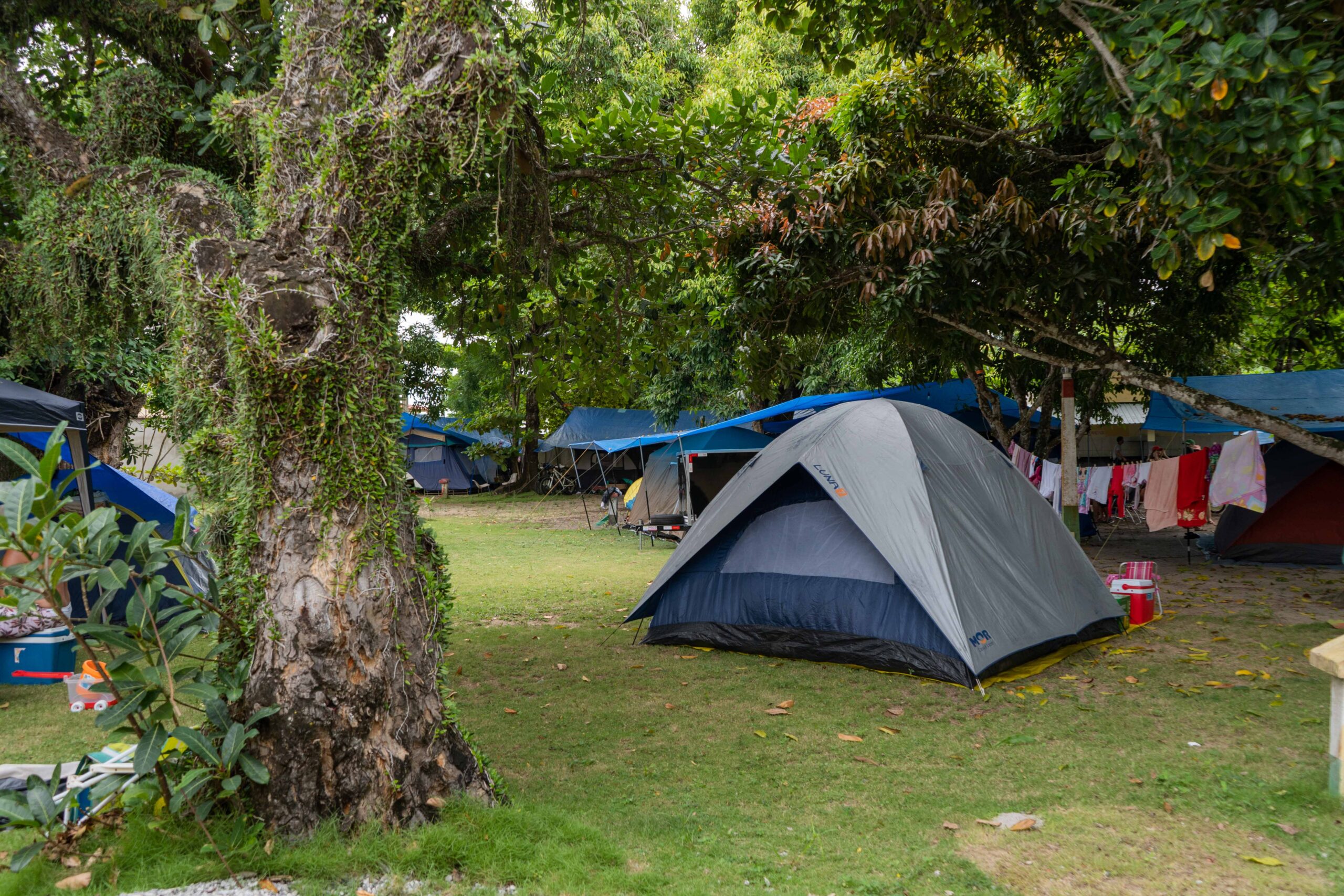 Camping Cacha