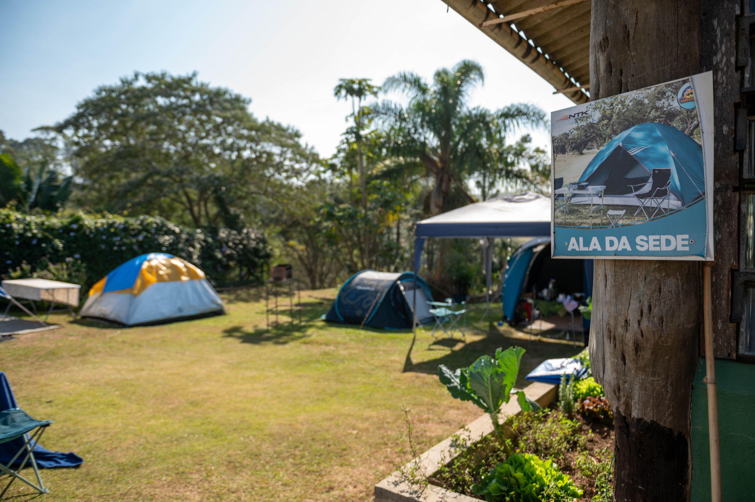 Chacara Festivité