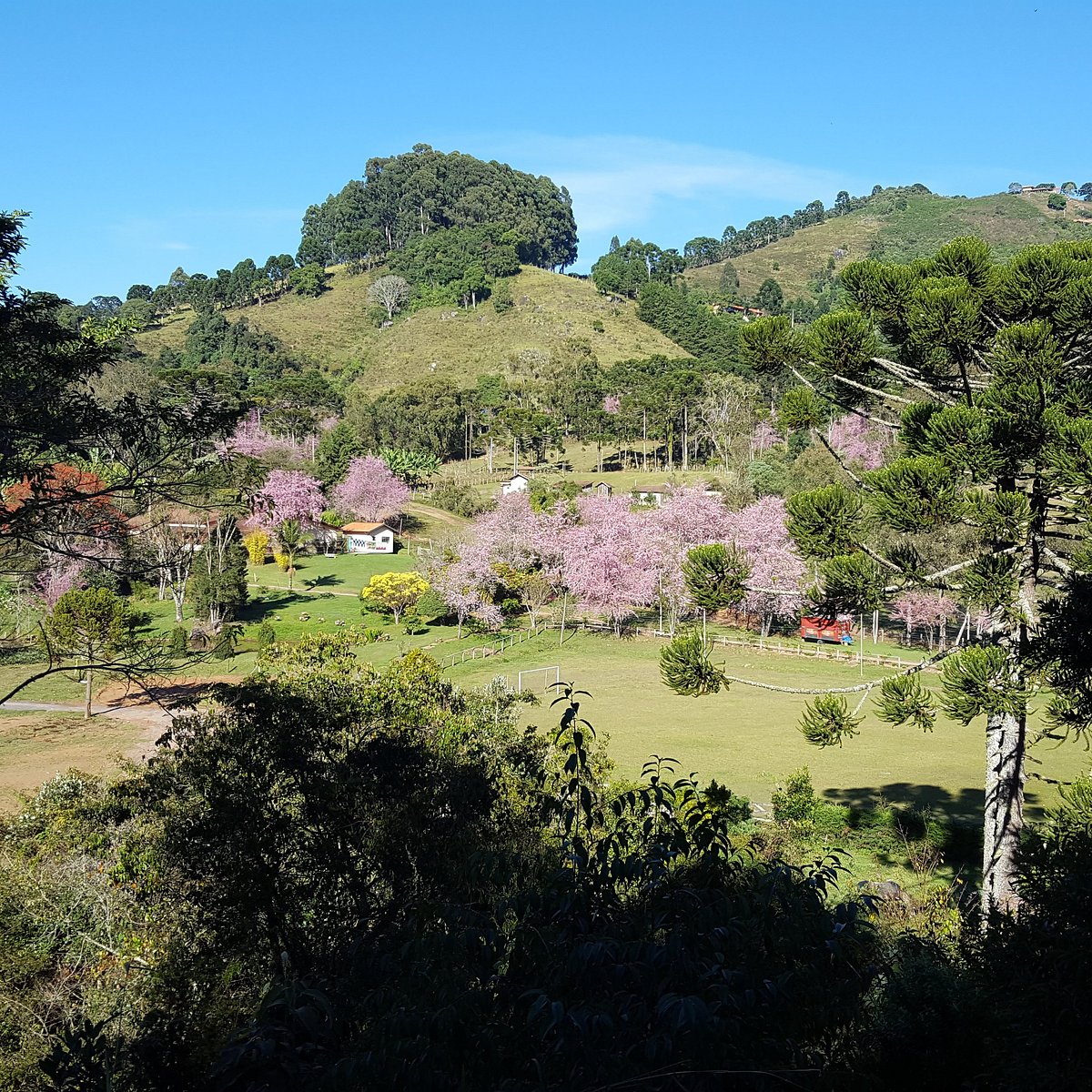 chacara gonçalves