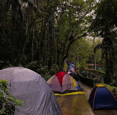 Morada do tucano, limeira alta Brusque