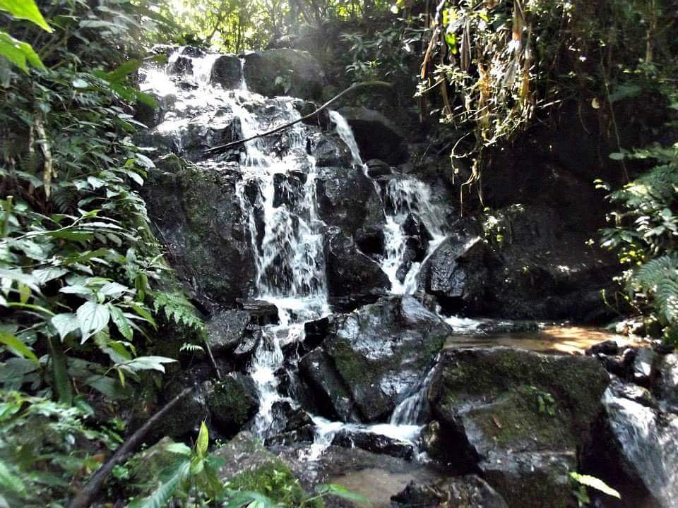 Parque Estadual Cantareira - Núcleo Cabuçu